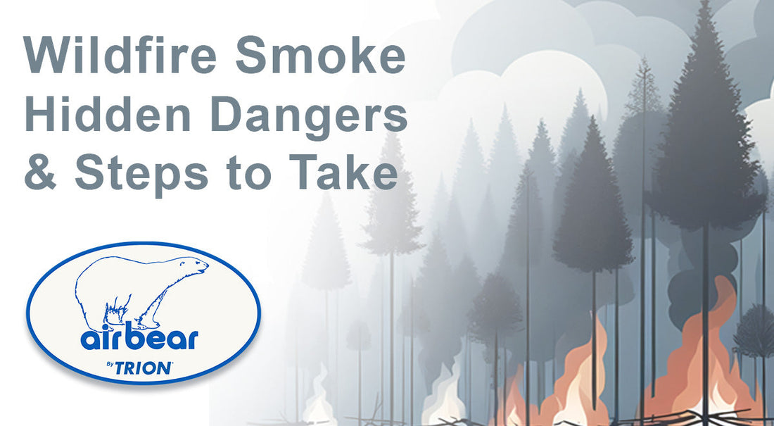 Steps to Mitigate Wildfire Smoke Hidden Dangers at Home